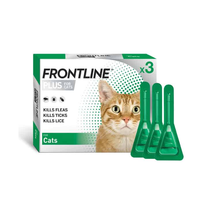 Buy Frontline Plus For Cat Online from Canada | 365 Script Care