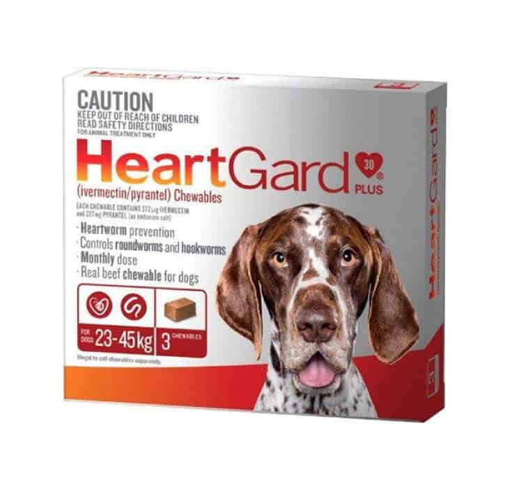 Buy Heartgard Plus Chewable Large Dog Online from Canada | 365 Script Care