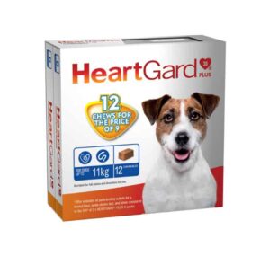 Buy Heartgard Plus Chewable Small Dog Online from Canada | 365 Script Care