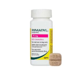 Buy Rimadyl Chewable Online from Canada | 365 Script Care